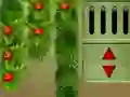 Spel New Year 2021 Escape på nätet