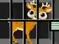 Spel Animals Rescue på nätet