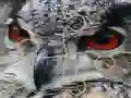 Spel Wild owl Jigsaw på nätet