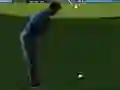 Spel Flash Golf 3D på nätet