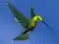 Spel Hummingbird House Escape på nätet