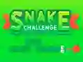 Spel Snake Challenge på nätet