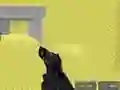 Spel Pixel Combat Multiplayer på nätet