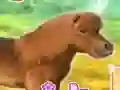 Spel My Dear Pony på nätet