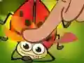 Spel Insect Cush på nätet