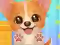 Spel Adopt Your Pet Puppy på nätet