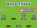 Spel Pole Touch på nätet