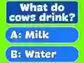 Spel Trivia Best Family Quiz på nätet
