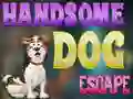 Spel Handsome Dog Escape på nätet