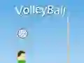 Spel VolleyBall på nätet