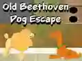 Spel Old Beethoven Dog Escape på nätet