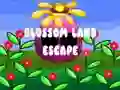 Spel Blossom Land Escape på nätet