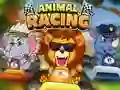 Spel Animal Racing på nätet
