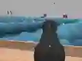 Spel Ships 3D på nätet