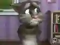 Spel Talking Tom Cat 2 på nätet