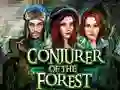 Spel Conjurer Of The Forest på nätet