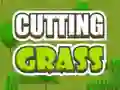 Spel Cutting Grass på nätet