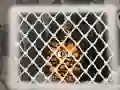Spel Tiger Escape 1 på nätet