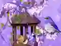 Spel Wonderful Humming Bird Land Escape på nätet
