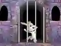Spel Victory Rabbit Escape på nätet
