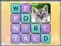 Spel Word Search Pictures på nätet
