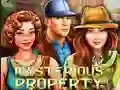 Spel Mysterious Property på nätet