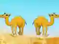 Spel Desert Gold Rush The Great Treasure Escape på nätet