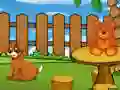Spel Funny Iguana Escape på nätet