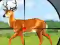 Spel Wild Hunt Hunting Games 3D på nätet