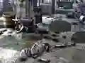 Spel Friends Rescue From Skeleton på nätet