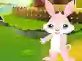 Spel Find The Buddy Rabbit på nätet