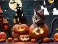 Spel Jigsaw Puzzle: Halloween Cat på nätet