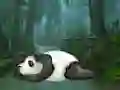 Spel Wakeup The Sleeping Panda på nätet