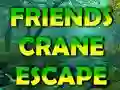 Spel Friends Crane Escape på nätet