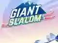 Spel Giant Slalom på nätet