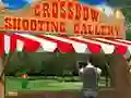 Spel Crossbow Shooting Gallery på nätet