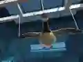 Spel Goose Museum på nätet