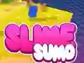 Spel Sumo Slime 3D på nätet