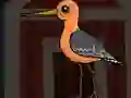 Spel Cute Godwit Escape på nätet
