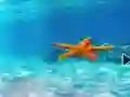 Spel Escape From Underwater Starfish på nätet