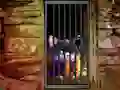 Spel Hidden Cat Escape på nätet