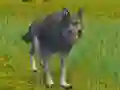 Spel The Wolf: Wild Animal Simulator på nätet
