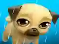 Spel My Virtual Pet Louie the Pug på nätet
