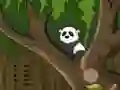 Spel Panda Jungle Escape på nätet
