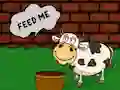 Spel Find The Cow Feed på nätet