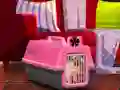 Spel Escape The Small Pug på nätet