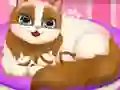 Spel Cute Kitty Pregnant på nätet