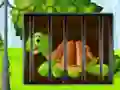 Spel Turtle Fiery Escape på nätet