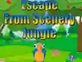 Spel Escape from Scenery Jungle på nätet