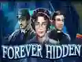 Spel Forever Hidden på nätet